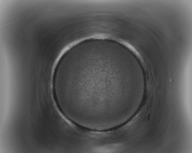 X0000086251327200704051232