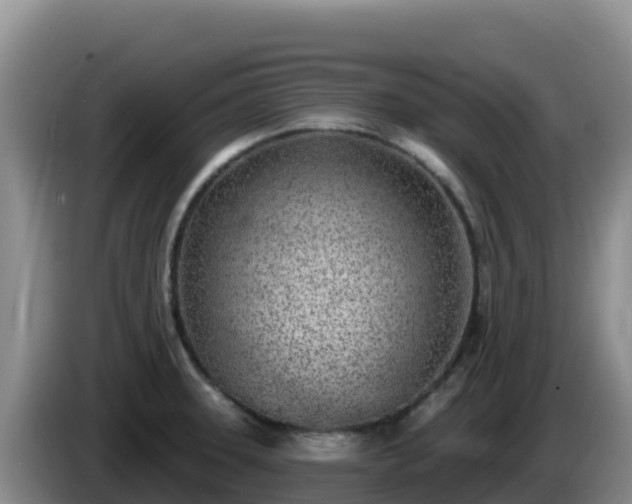 X0000086251331200704051232