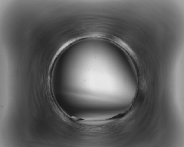 X0000086251332200704051232