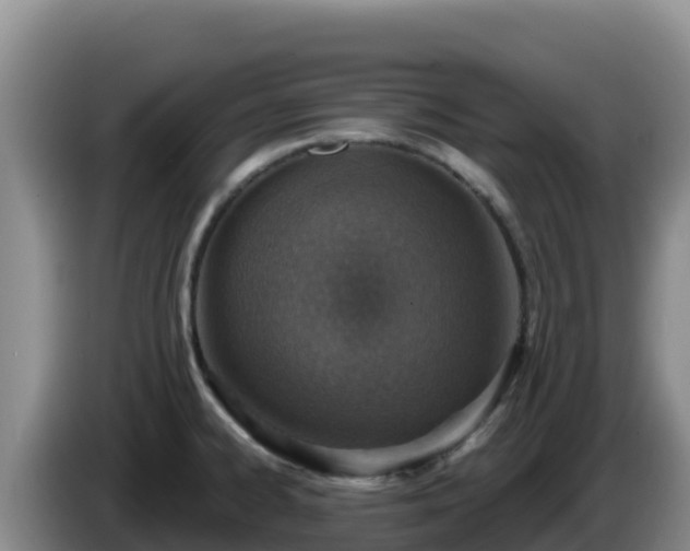 X0000086251334200704051232