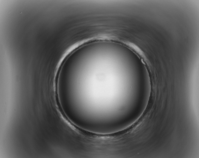 X0000086251335200704051232