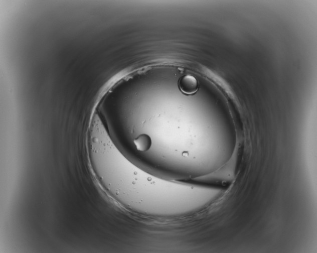 X0000086251338200704051232
