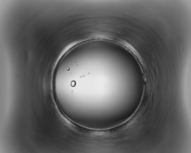 X0000086251339200704051232