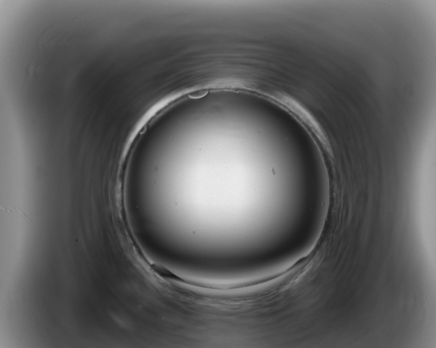 X0000086251340200704051232