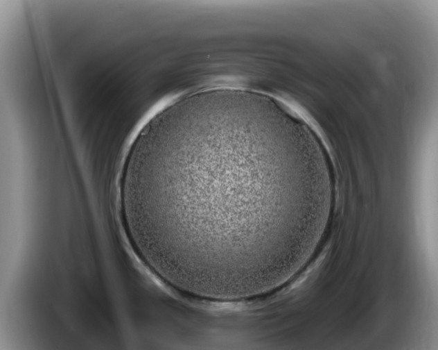 X0000086251341200704051232