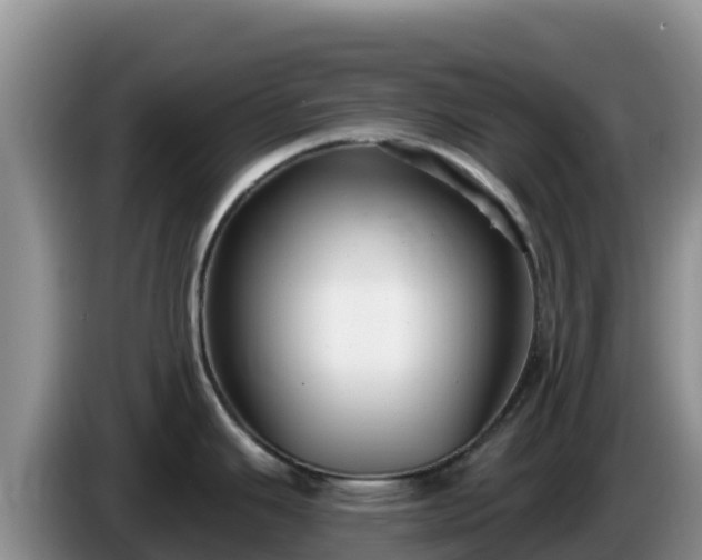 X0000086251343200704051232