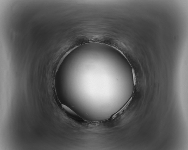 X0000086251345200704051232