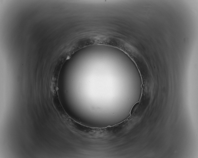 X0000086251346200704051232