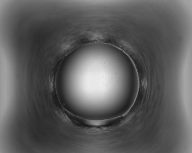 X0000086251348200704051232