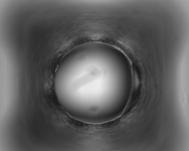 X0000086251349200704051232