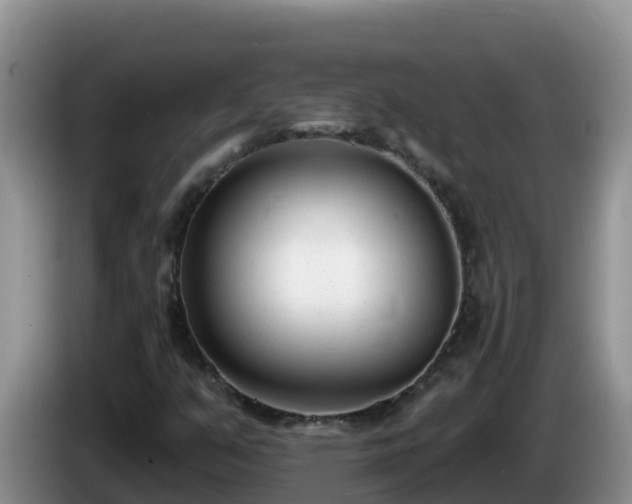 X0000086251351200704051231