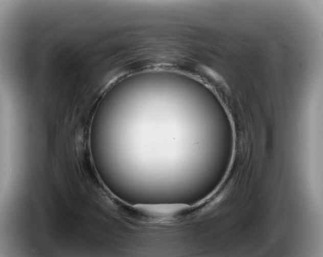 X0000086251353200704051231