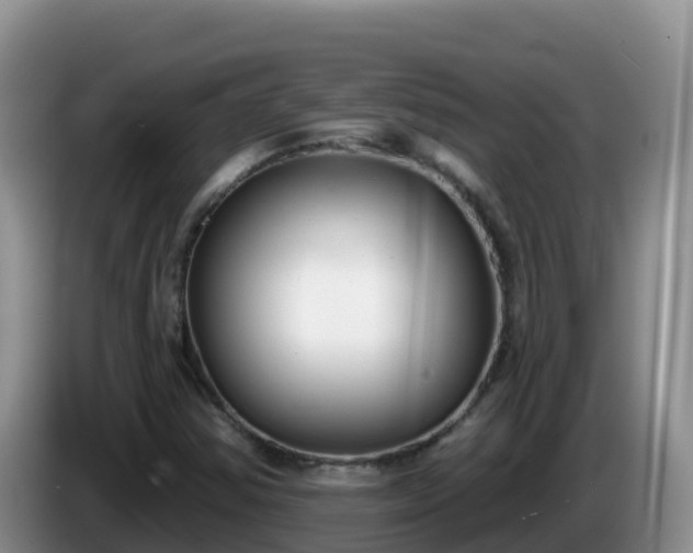 X0000086251354200704051231