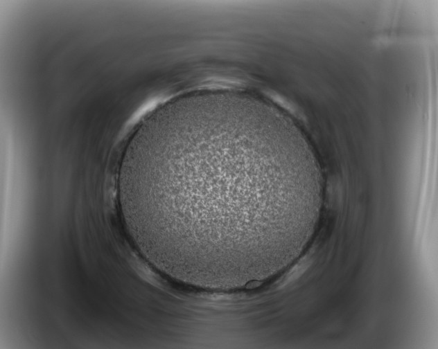 X0000086251355200704051231