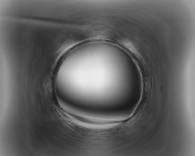 X0000086251356200704051231