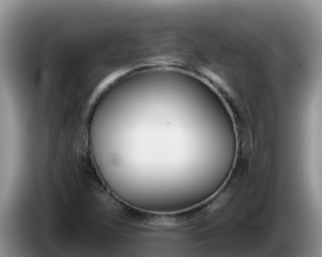 X0000086251358200704051231