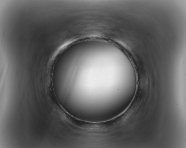 X0000086251359200704051231
