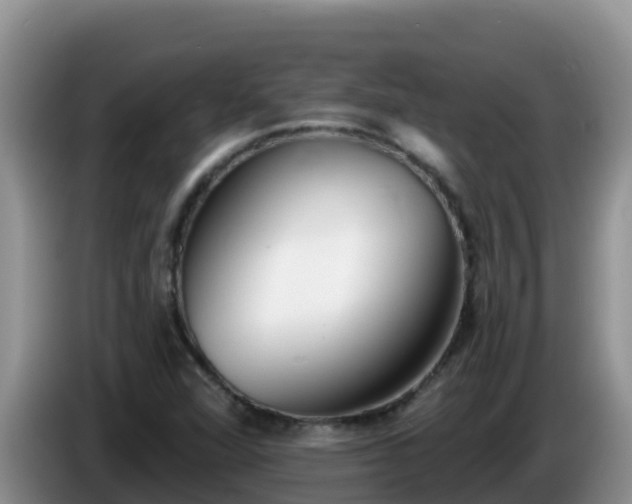 X0000086251360200704051231