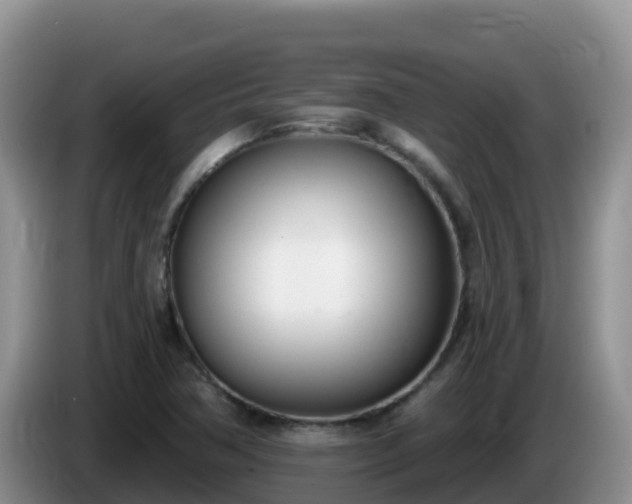 X0000086251362200704051231