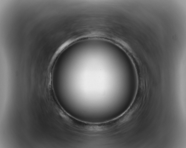 X0000086251366200704051231