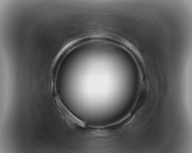 X0000086251368200704051231