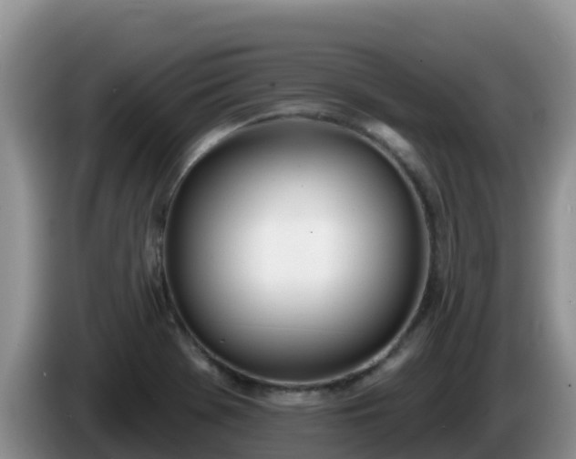 X0000086251369200704051231
