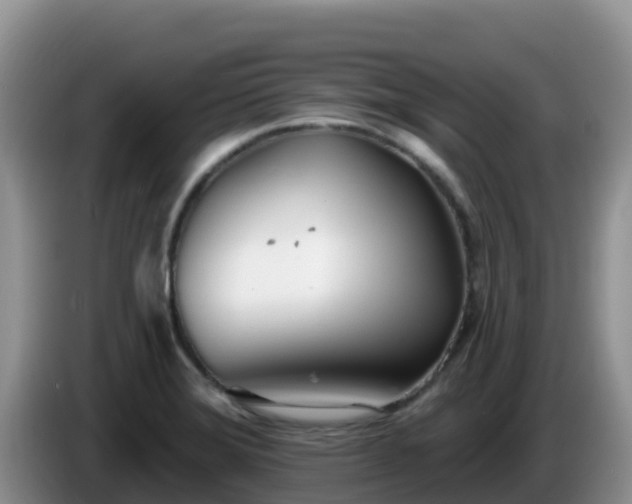 X0000086251372200704051231
