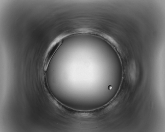 X0000086251373200704051231
