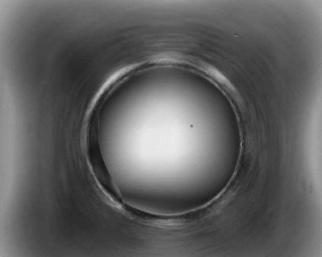 X0000086251376200704051231