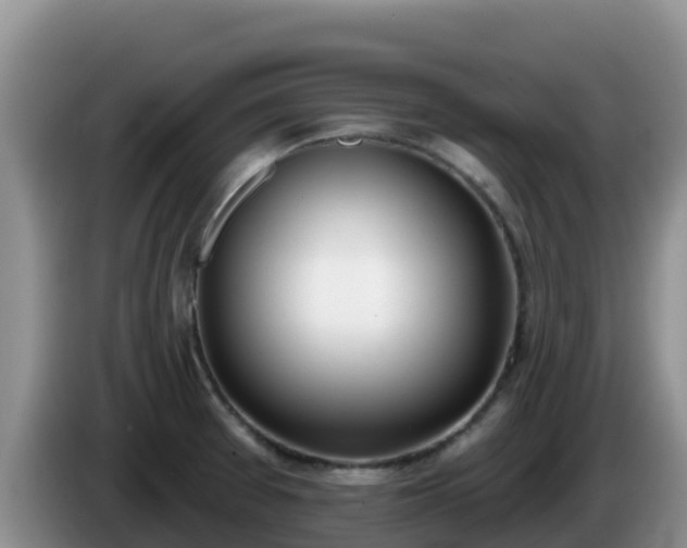 X0000086251377200704051231