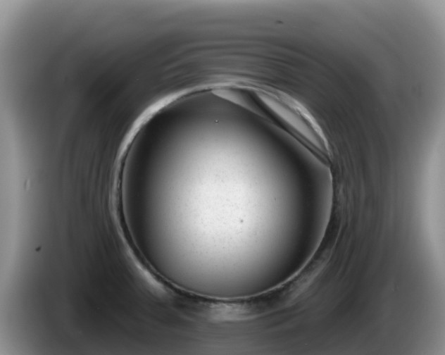 X0000086251379200704051231