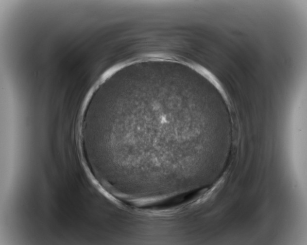 X0000086251381200704051231