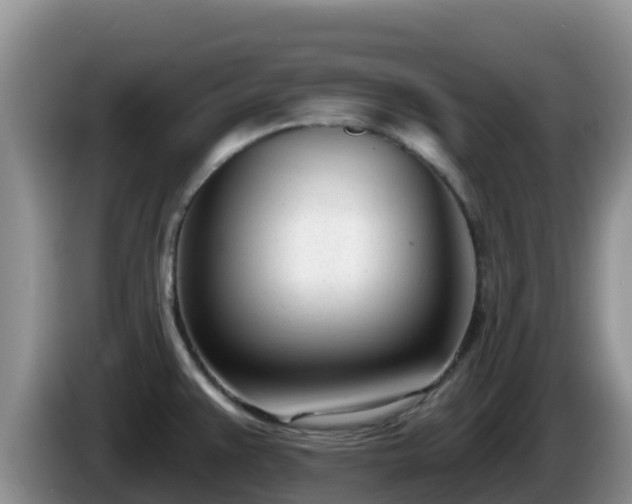 X0000086251383200704051231