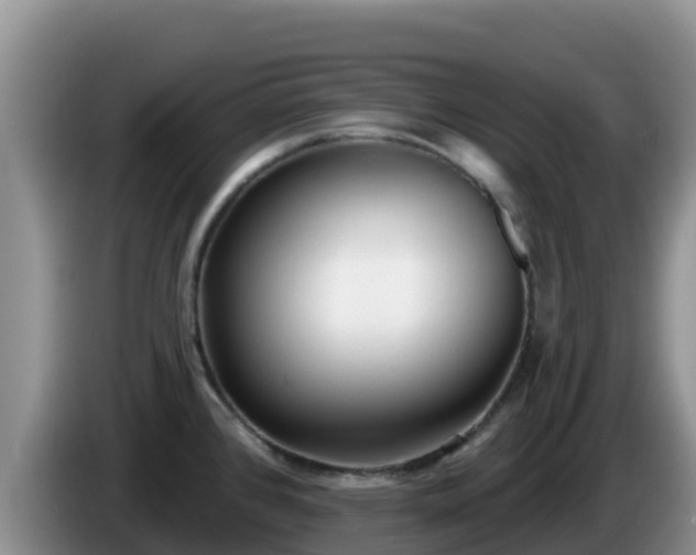 X0000086251384200704051231