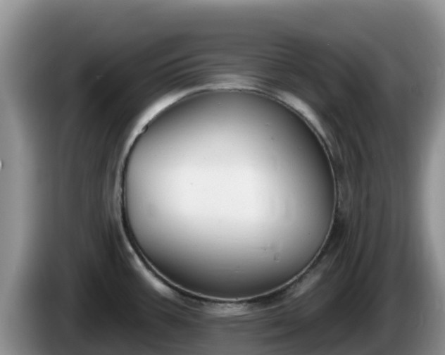 X0000086251387200704051231