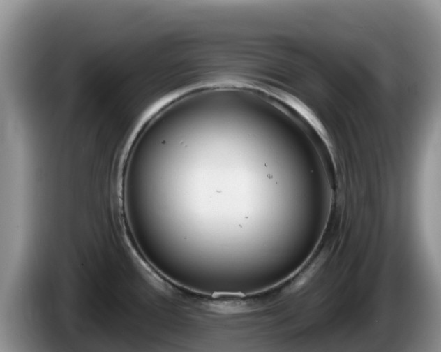 X0000086251388200704051231