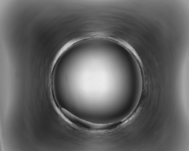 X0000086251389200704051231