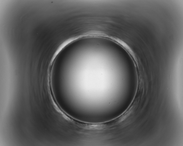 X0000086251390200704051231