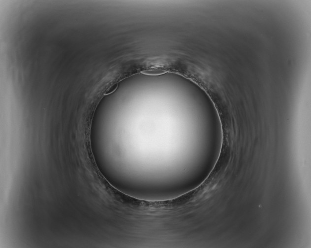 X0000086251393200704051230