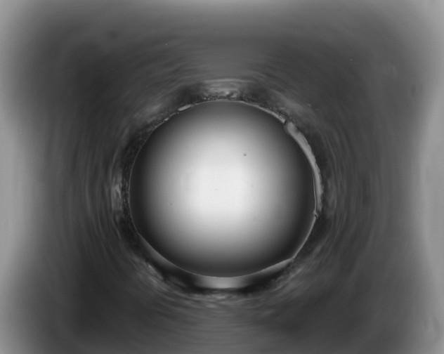 X0000086251394200704051230