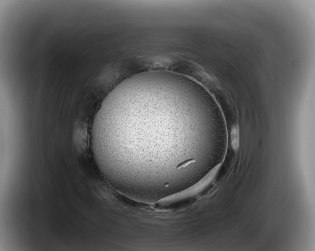 X0000086251395200704051230