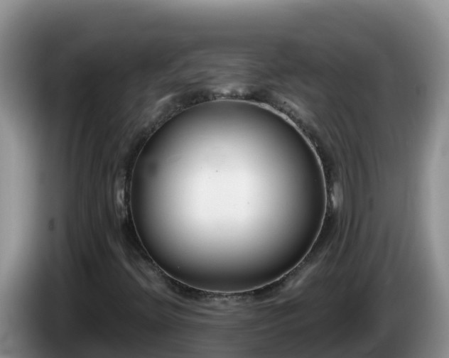 X0000086251396200704051230