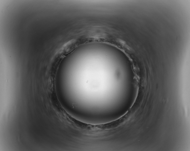 X0000086251398200704051230