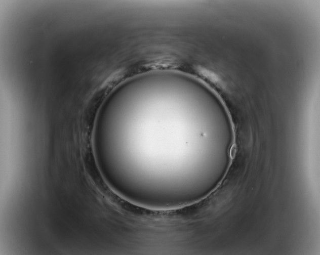 X0000086251399200704051230