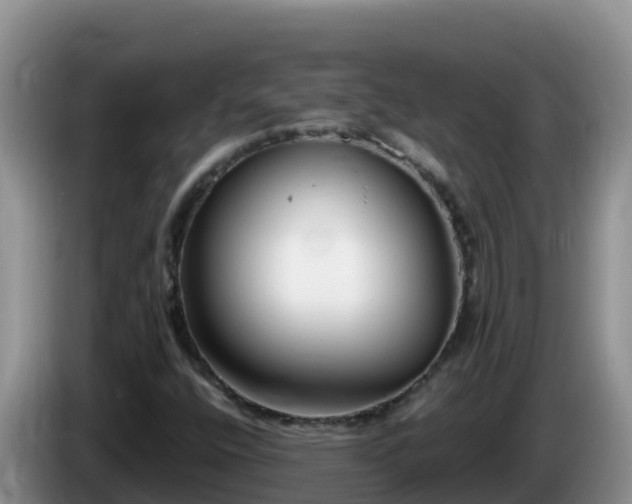 X0000086251400200704051230