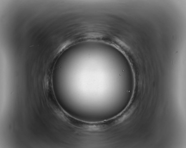 X0000086251401200704051230