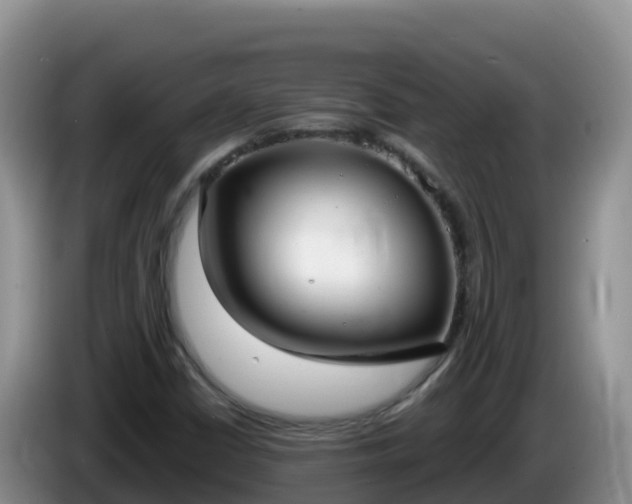 X0000086251402200704051230