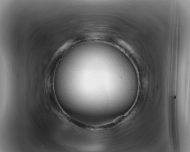 X0000086251403200704051230