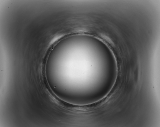 X0000086251404200704051230