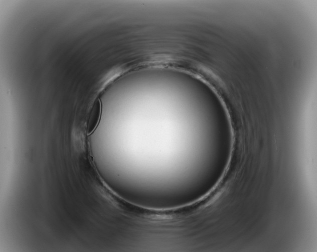 X0000086251409200704051230